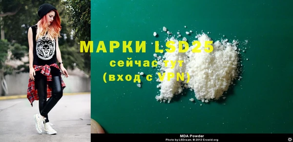 ГАЛЛЮЦИНОГЕННЫЕ ГРИБЫ Кукмор