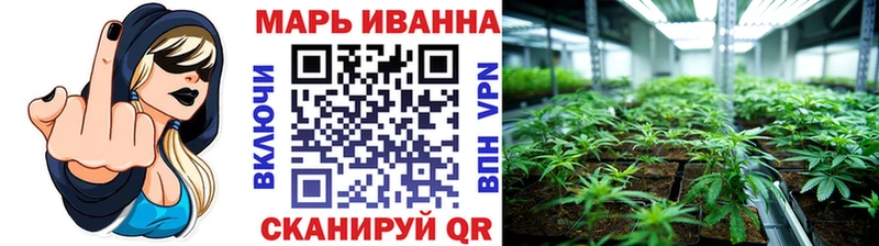 Каннабис сатива  Барыш 